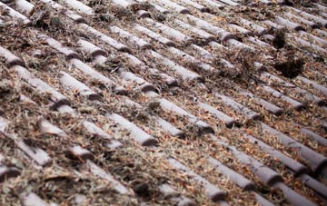 Terling roof cleaning companies