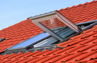 Terling roof window
