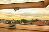 rated Terling roof window companies